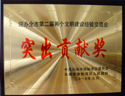 2010年烏海市文明建設(shè)經(jīng)驗(yàn)交流會(huì)突出貢獻(xiàn)獎(jiǎng)